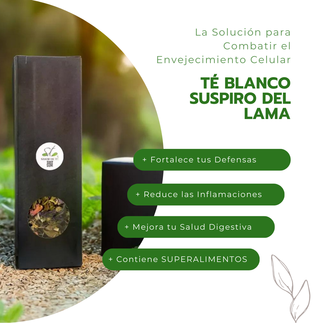 Té Blanco Suspiro del Lama - La Solución para Combatir el Envejecimiento Celular