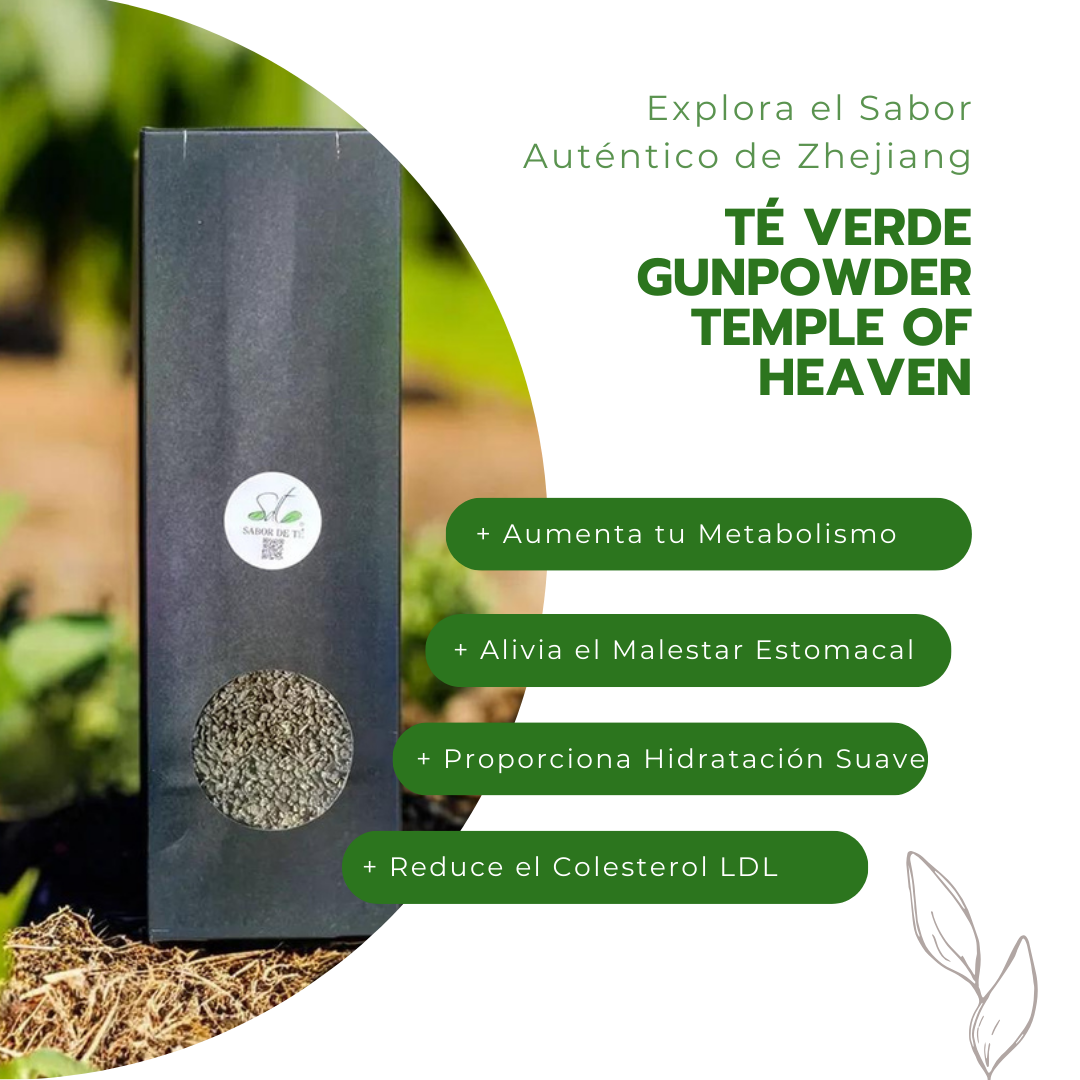 Té Verde Gunpowder Temple of Heaven - Explora el Sabor Auténtico de Zhejiang