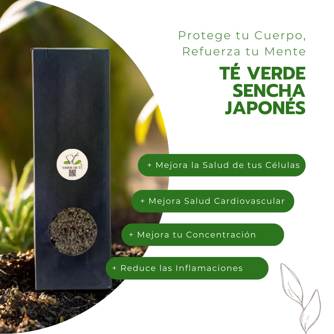 Té Verde Sencha Japonés - Protege tu Cuerpo, Refuerza tu Mente