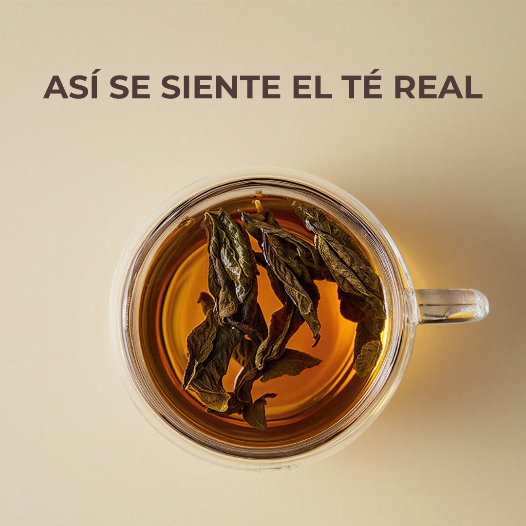Pack de Iniciación - Descubre el té con sabor real