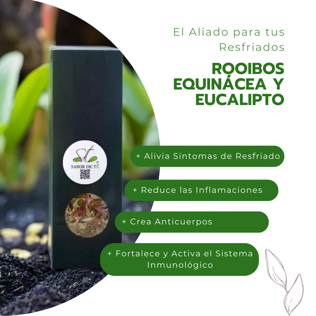 Rooibos Equinacea y Eucalipto - El Aliado para tus Resfriados