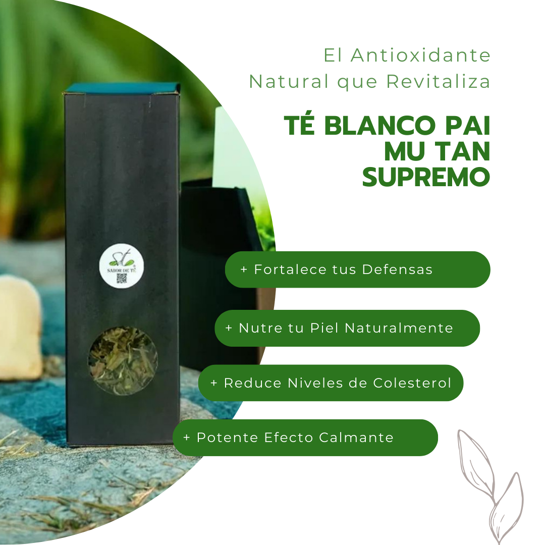 Té Blanco Pai Mu Tan Supremo - El Antioxidante Natural que Revitaliza